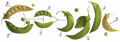 Logo Google conmemorativo del 189 aniversario del nacimiento de Gregor Mendel.
