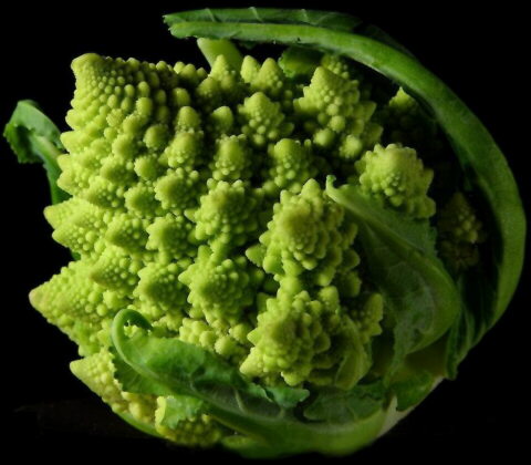 Un romanescu.